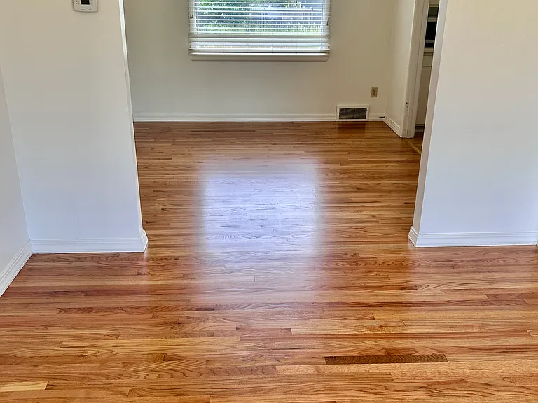 Living/Dining area