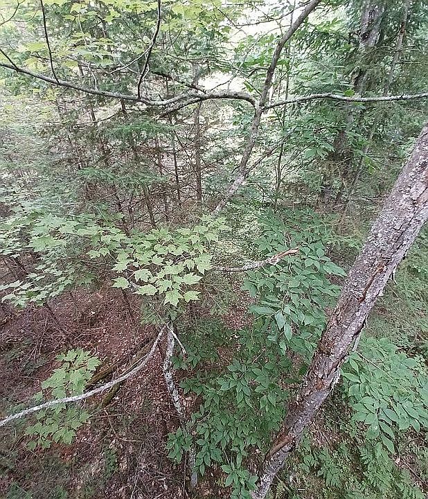 1st image of 14427 Angel Crest Ln