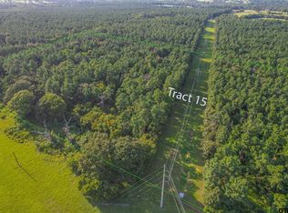 TRACT 15 County Road 4224, Frankston, TX