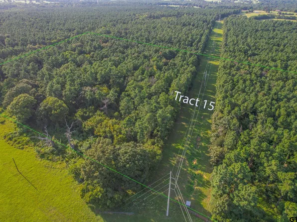 TRACT 15 County Road 4224, Frankston, TX 75763