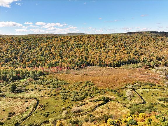 2nd image of Halsey Valley Rd