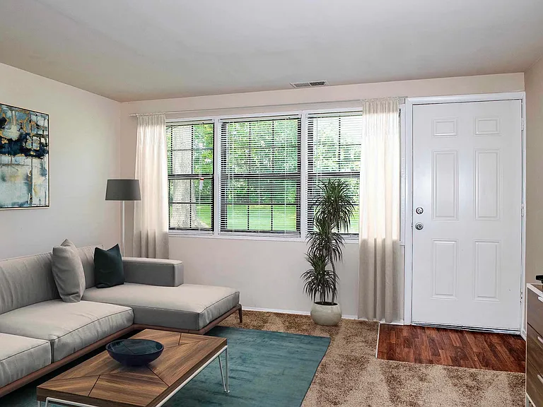 Living Room 1