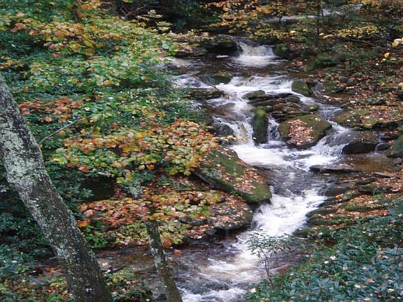 View of Waterfall on property.