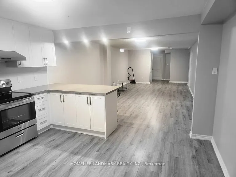 282 Forest Run Blvd #BASEMENT — Photo 10