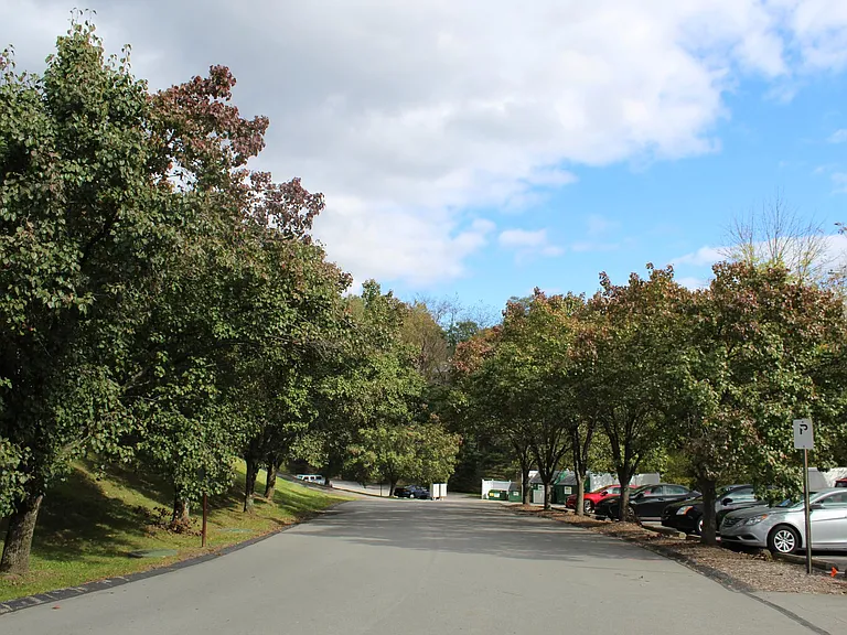 Alder Ridge — Photo 1