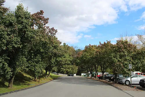 Alder Ridge Photo 1