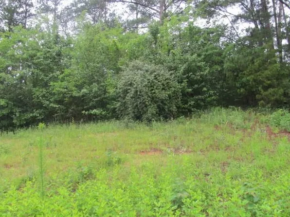 909 Red Fox Ct, Cataula, GA 31804