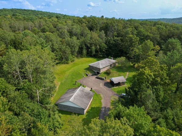45 Billy Goat Hill Rd, Windsor, NY 13865