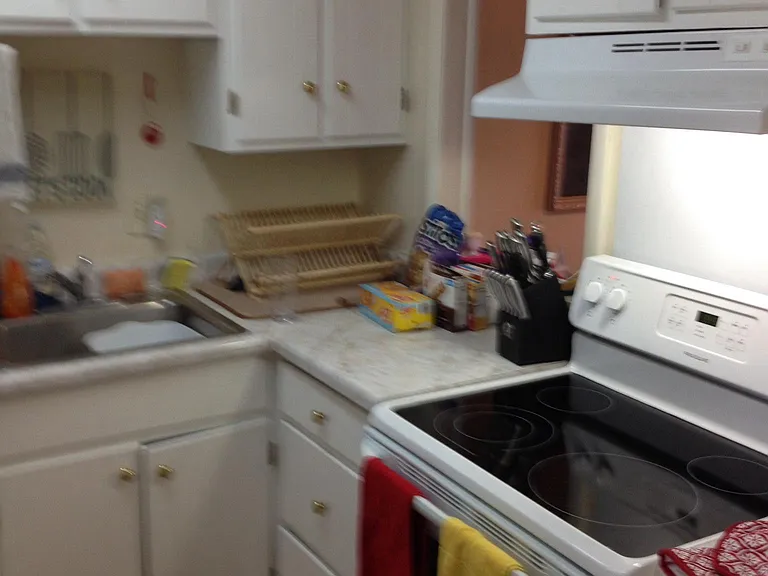 2116 Hobbs Rd #L6 — Photo 10