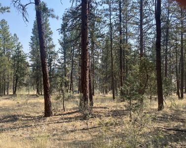 Klamath Falls Forest Estates Lots 21 #&-28, Bonanza, OR, 97623