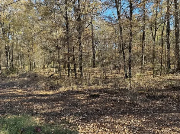 0 Goathill Rd, Elm Grove, LA 71051