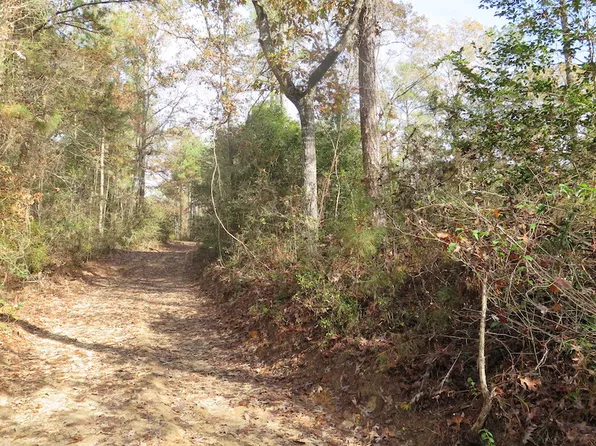 County Highway 34 Lot Wp001, Waynesboro, MS 39367