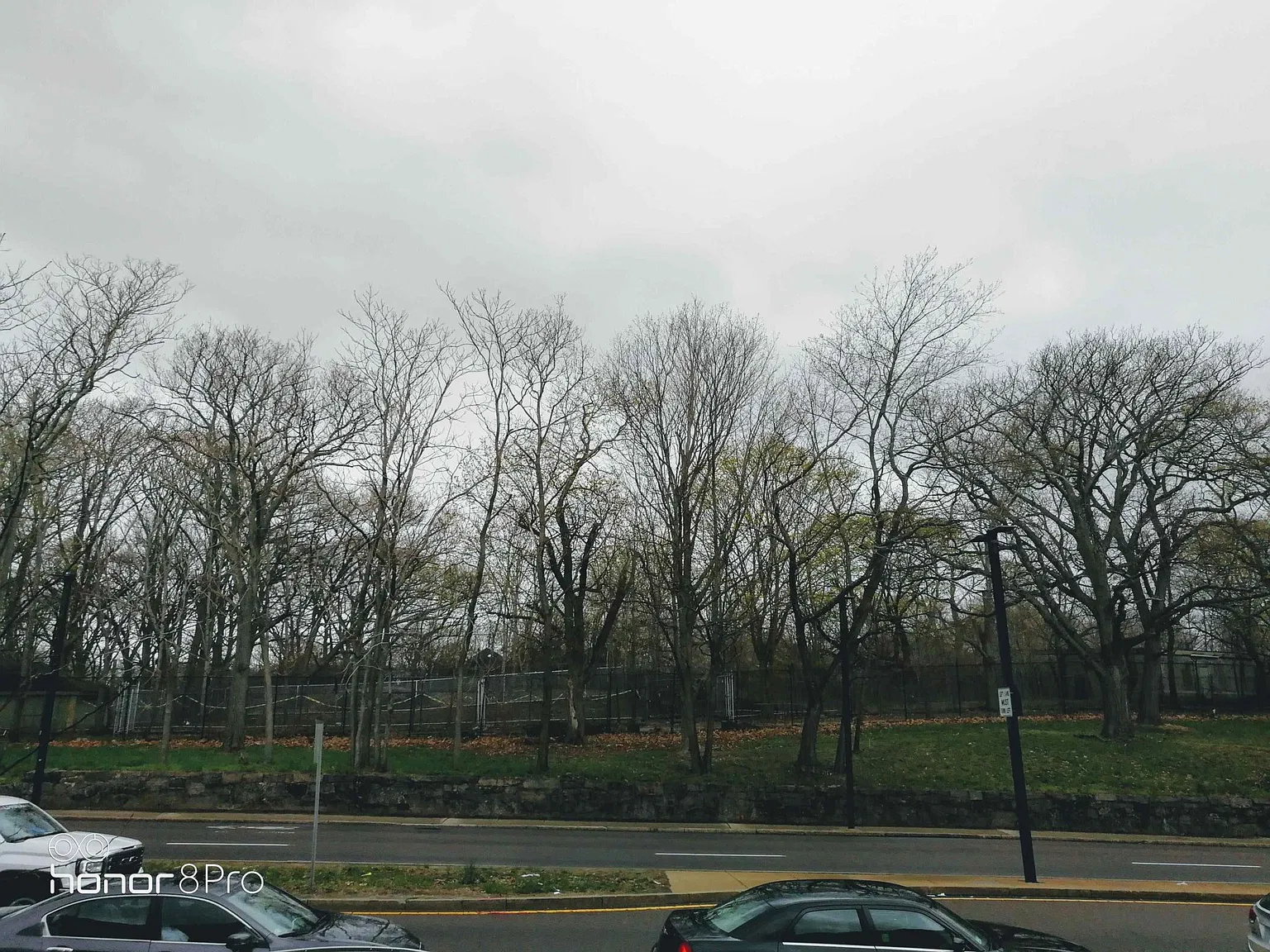 5 bed, 2400 sqft, $4,050 — Photo 2
