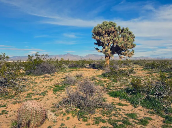 517 S Dale Evans Rd, Yucca, AZ 86438