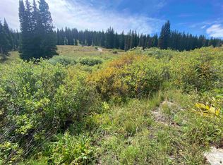9th St, Gunnison, CO 81230