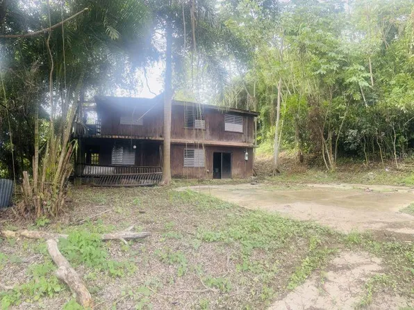 405 Carr Pr #1, Anasco, PR 00610