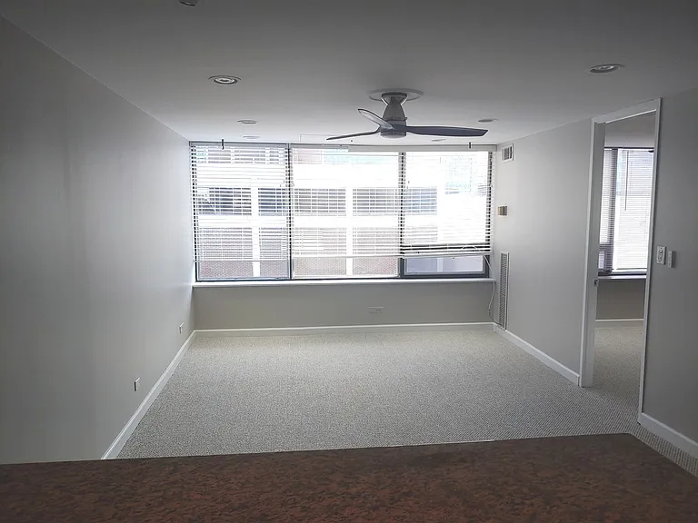 233 E Erie St #2409 — Photo 6