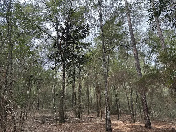 76/AC Pinderosa Trl, Crestview, FL 32539
