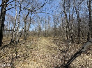 Salem Mountain Rd, Carbondale, PA 18407