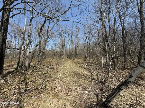 Salem Mountain Rd, Carbondale, PA 18407