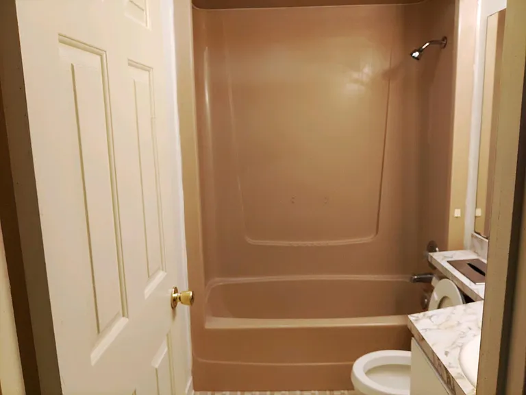Hall bathroom