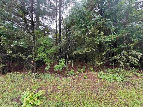 0 Mitchell Rd, Booneville, AR 72927
