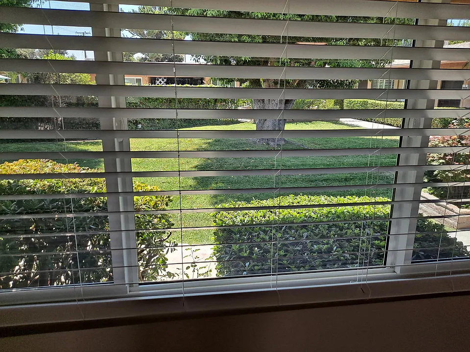 View at front living room to Trees and grassy courtyard.