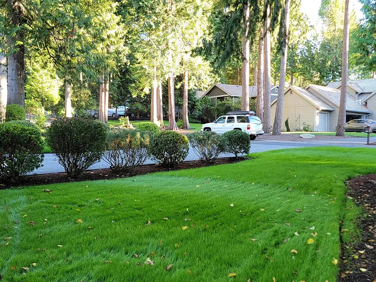 5519 Canvasback Rd — Photo 8