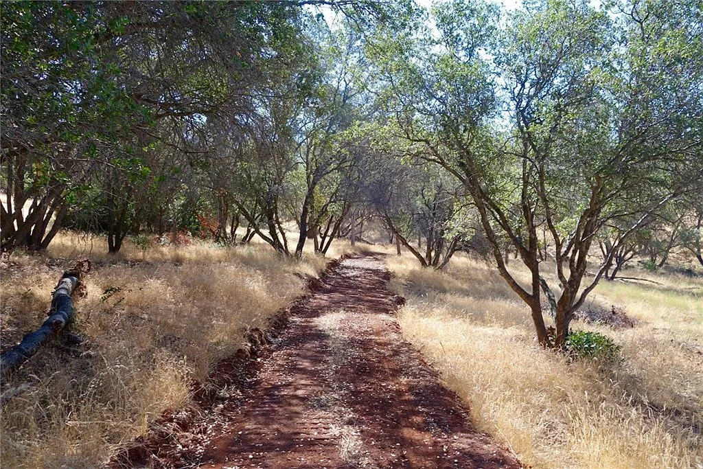 5015 Mykleoaks Rd photo 1