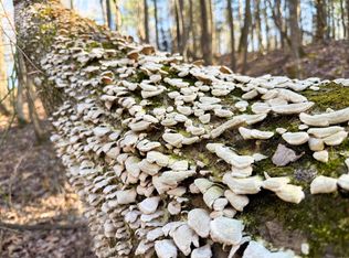 100 Guy Ln, Quitman, AR 72131