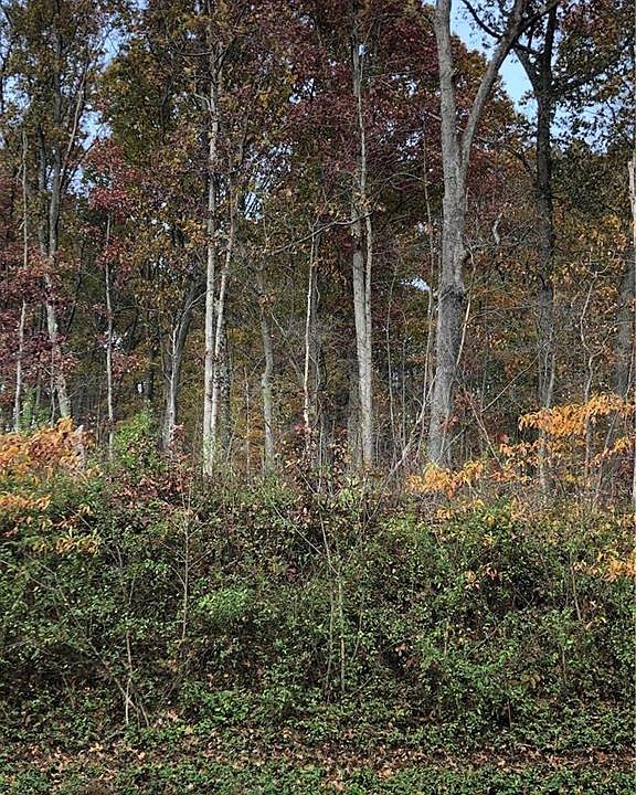 2nd image of Youngstown Lowellville Rd