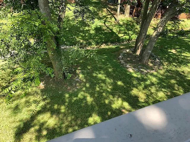 View of back yard from deck