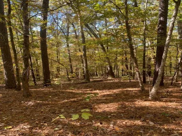 (undisclosed Address), Poyen, AR 72128