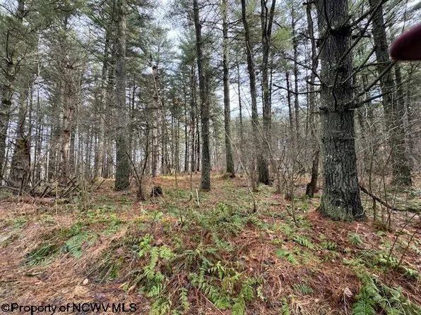 Trenton St, Bruceton Mills, WV 26525