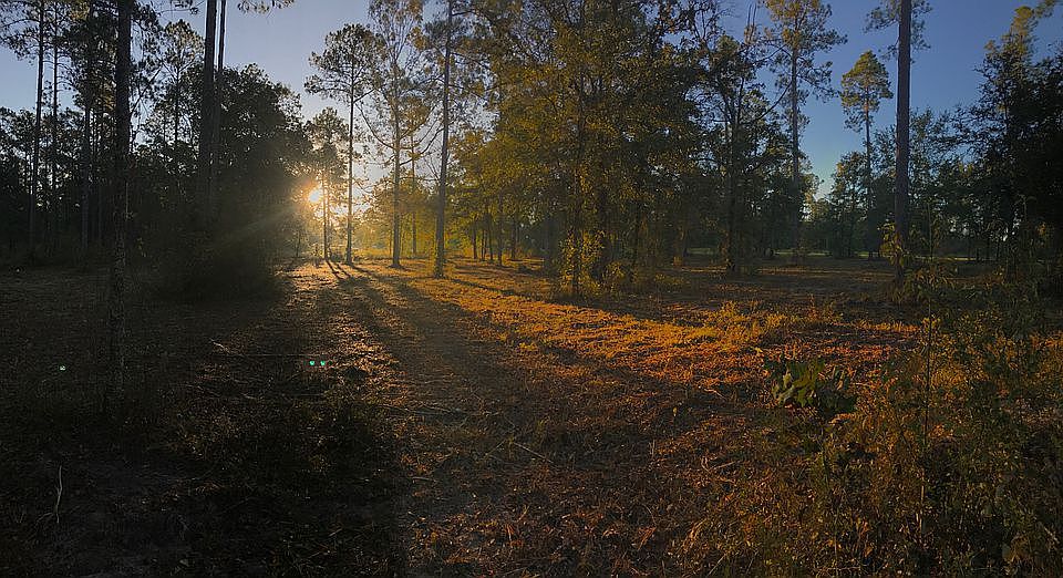 Sunrise