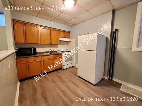430 Grace St #2, Mount Washington, PA 15211