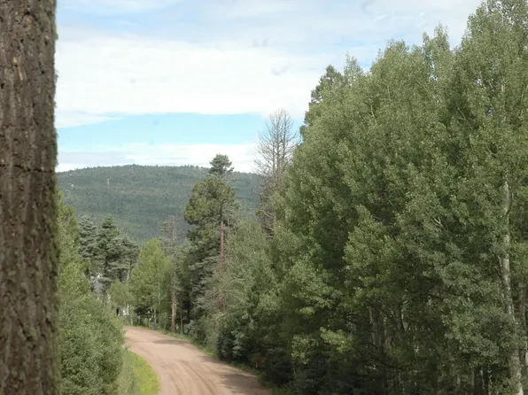 1568 Luna Dr, Angel Fire, NM 87710