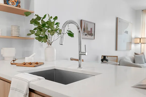 Rented by Goose Property Management LLC | media 1