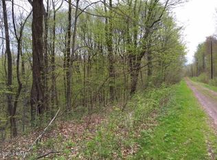 Dozy Rd, Pleasant Mount, PA 18453