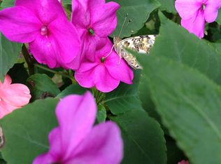 6090 Ridge Rd, Parma, OH 44129