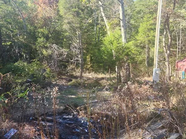 16711 Birdsong Rd, Holladay, TN 38341