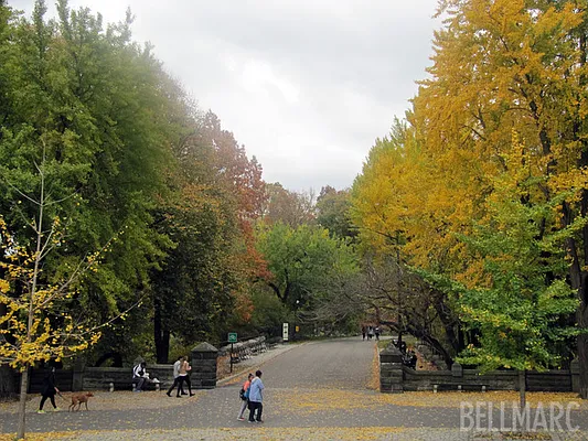 Sold by Bellmarc Realty | media 20