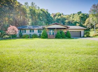 196 Duck Branch Rd, Roan Mountain, TN 37687