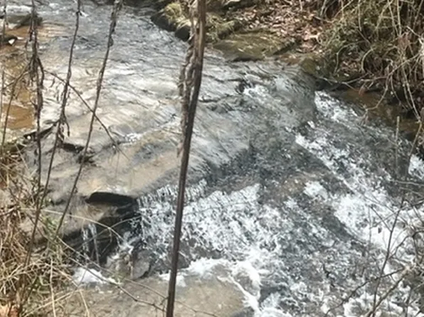 1360 Brasstown Creek Meadow Dr, Young Harris, GA 30582