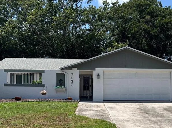 7537 Armand Cir, Tampa, FL 33634