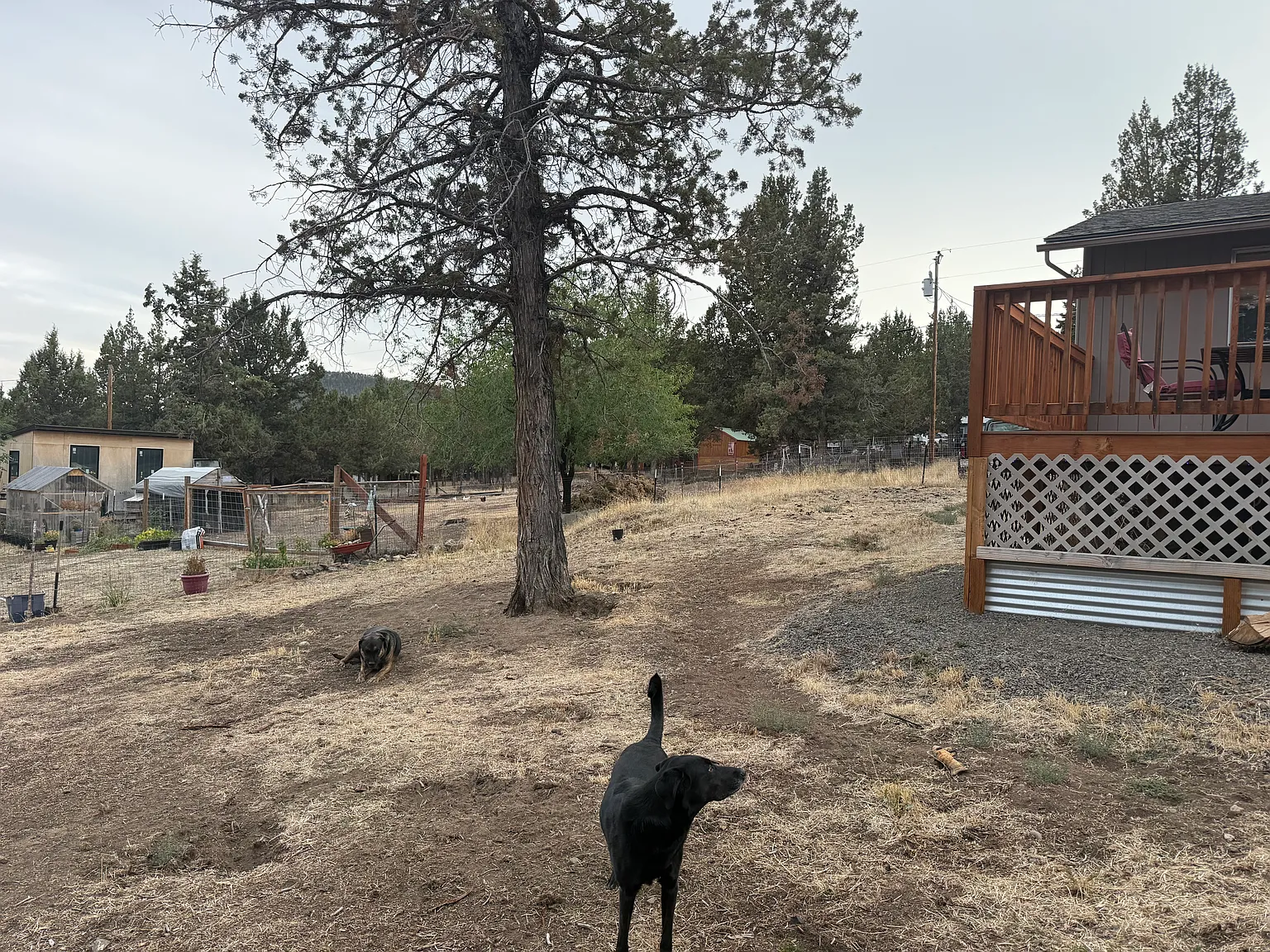 14199 SE Juniper Canyon Rd — Photo 4