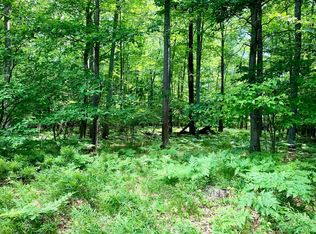 Lots 1 6 Garfield Blvd, Roscommon, MI 48653