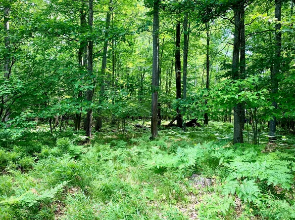 Lots 1 6 Garfield Blvd, Roscommon, MI 48653