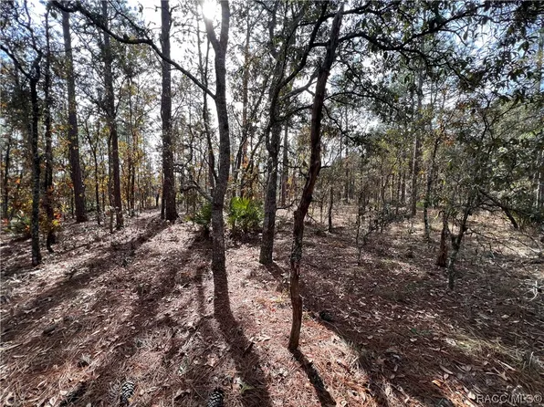 0 SE 55th Ln, Morriston, FL 32668