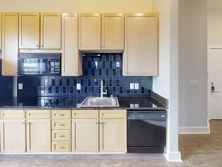 250 S Martin Luther King Blvd #313 — Photo 12
